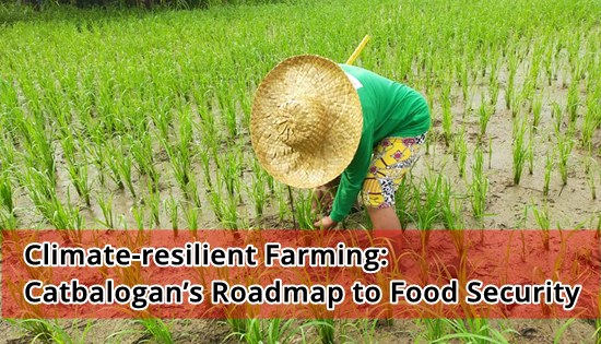 Climate-resilient Farming: Catbalogan�s Roadmap to Food Security